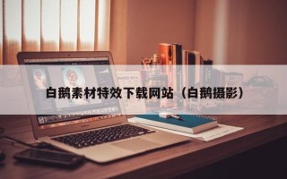无锡白鹅素材特效下载网站（白鹅摄影）